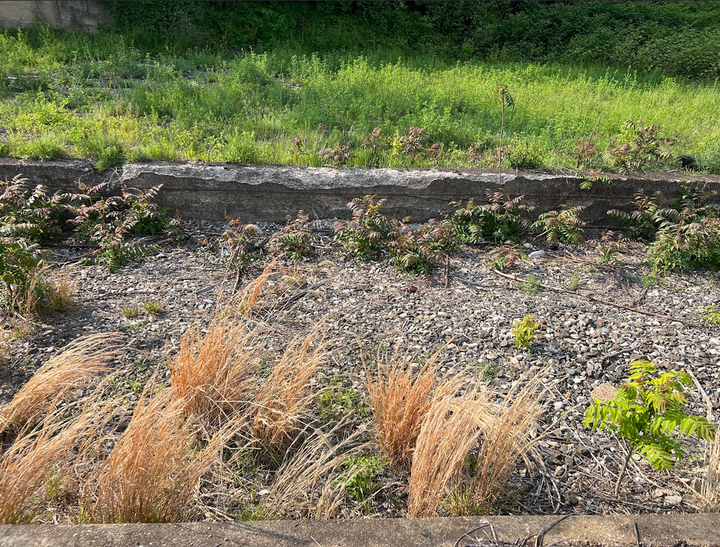 Former Right of Way in Canton Ohio